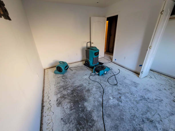 Best Water damage cleanup near me  in Hallowell, ME