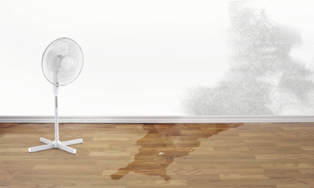 Best Water damage restoration services  in Hallowell, ME