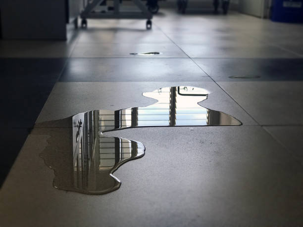 Best Professional water damage repair  in Hallowell, ME