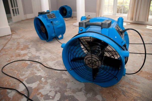 Best 24-hour water damage restoration  in Hallowell, ME