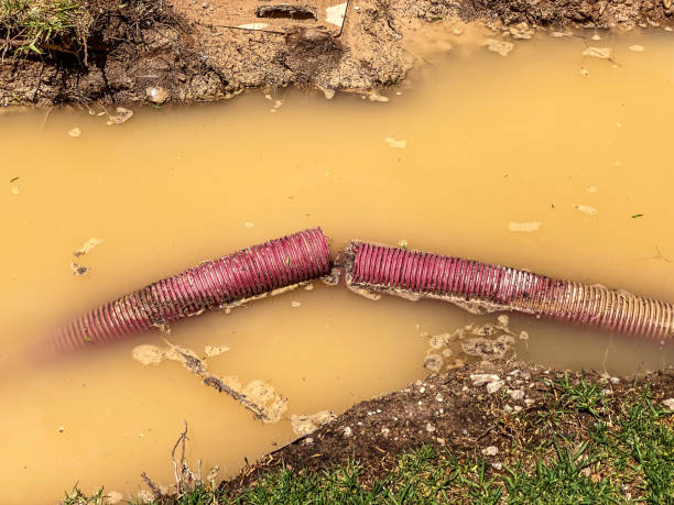Best Flood damage cleanup  in Hallowell, ME