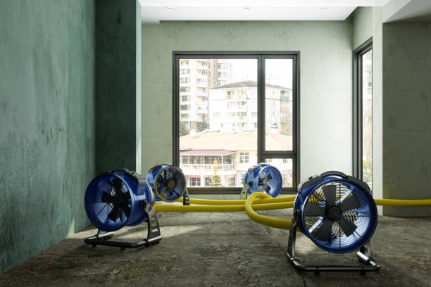 Best 24/7 water damage repair  in Hallowell, ME